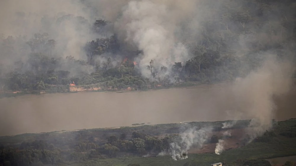 incendio-queimada-floresta-32 incendio-queimada-floresta-32