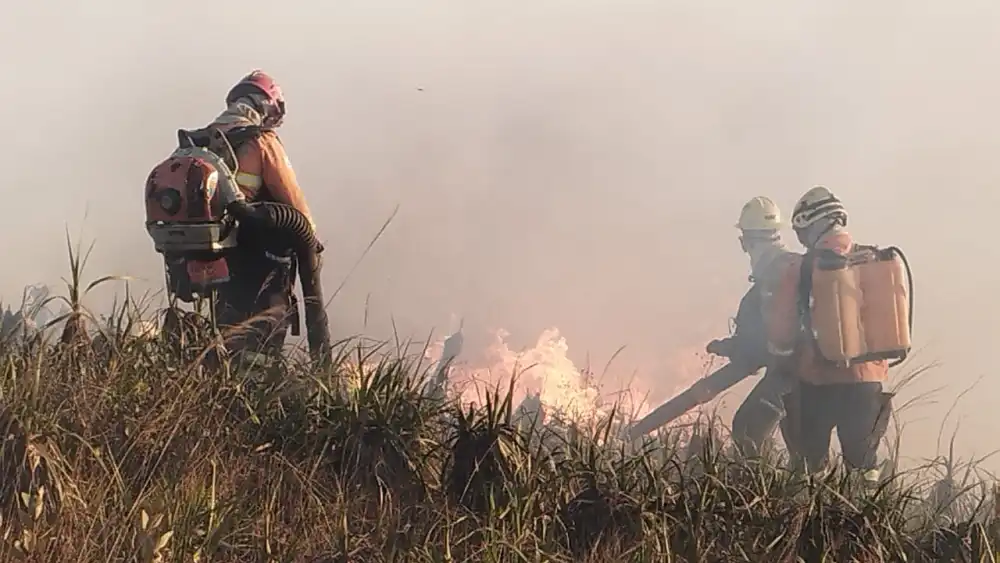 incendio-queimada-fogo-3469