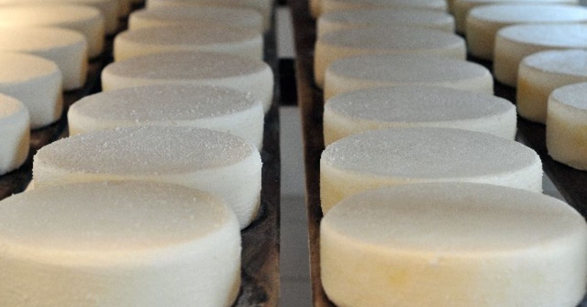 queijo-artesanal-33 queijo-artesanal-33