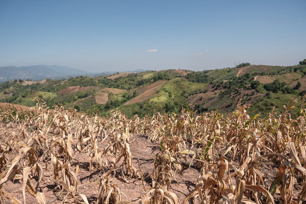 seca-23492 seca-23492