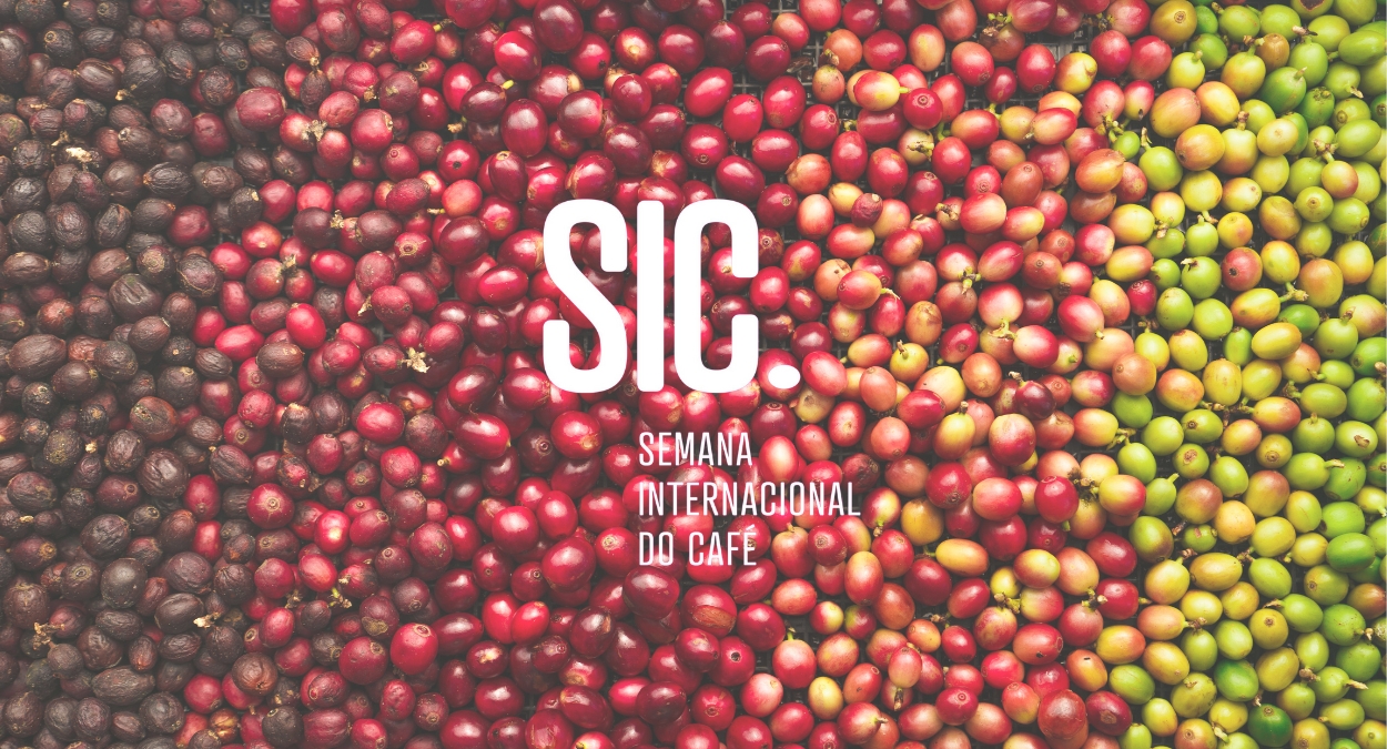 xr:d:DAFtsP3XIkY:341,j:8846605590727166833,t:23112217 xr:d:DAFtsP3XIkY:341,j:8846605590727166833,t:23112217