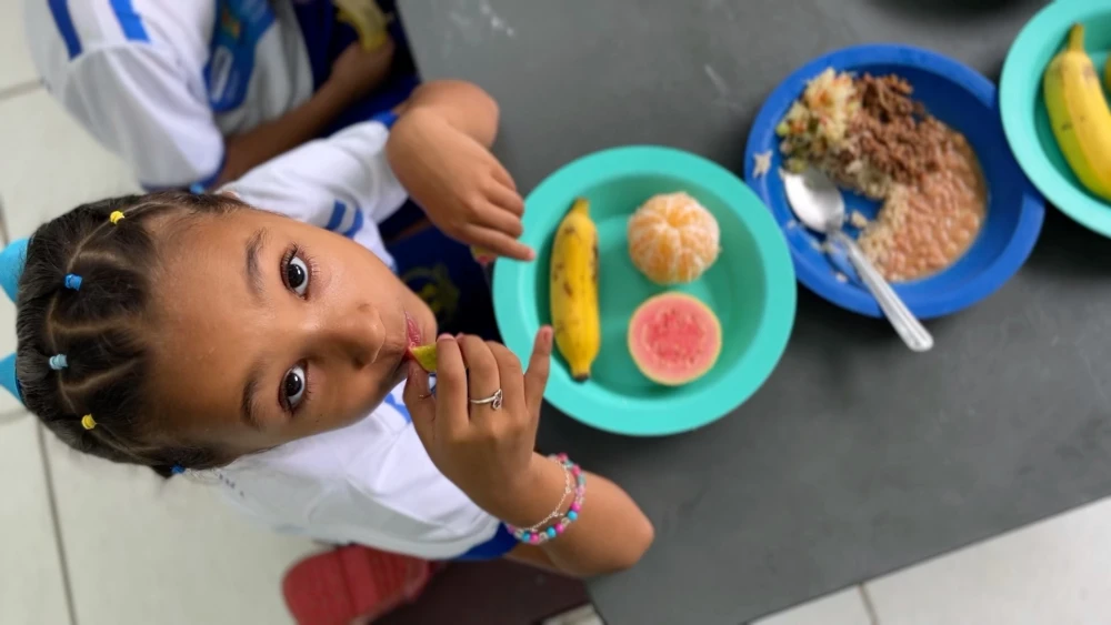 alimento-escola-238235 alimento-escola-238235