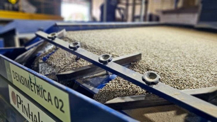 image_750x_671a5e5a7827d