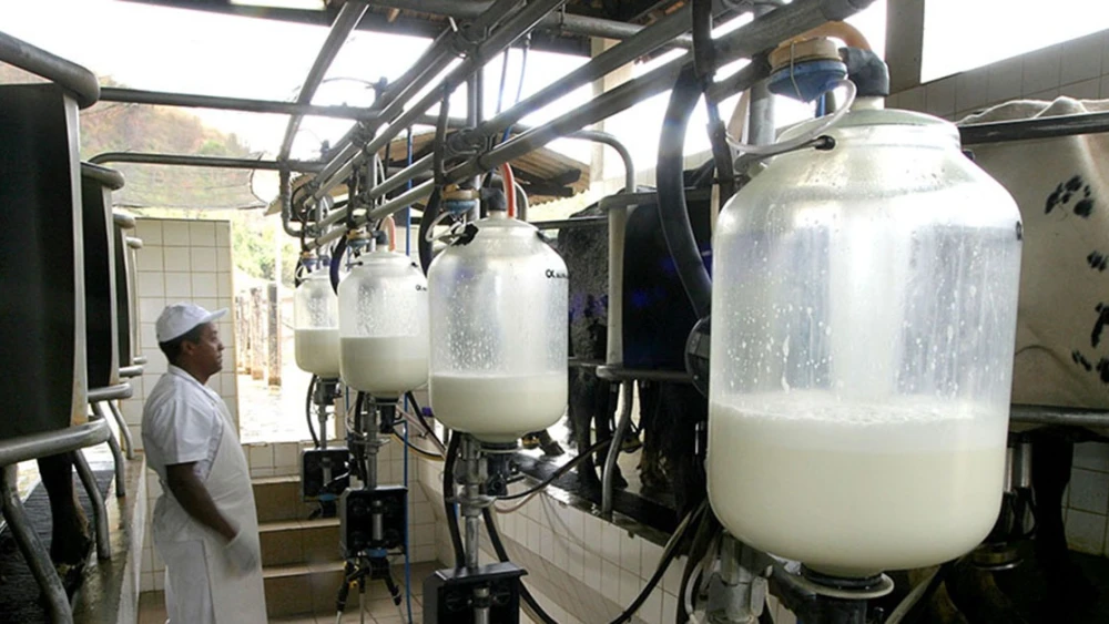 leite-6439643 leite-6439643