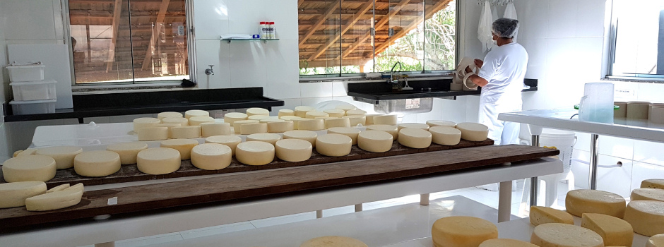 queijo_(2) queijo_(2)