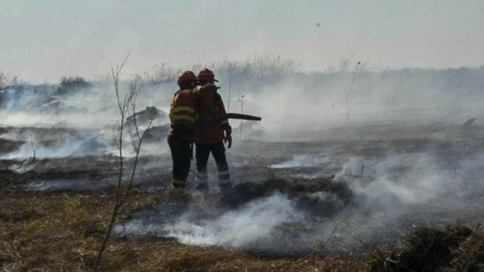 1_000_34yl7ne-38369258-960x540