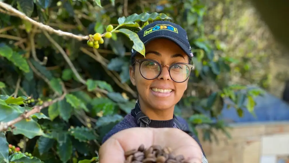 2388219519253 2388219519253