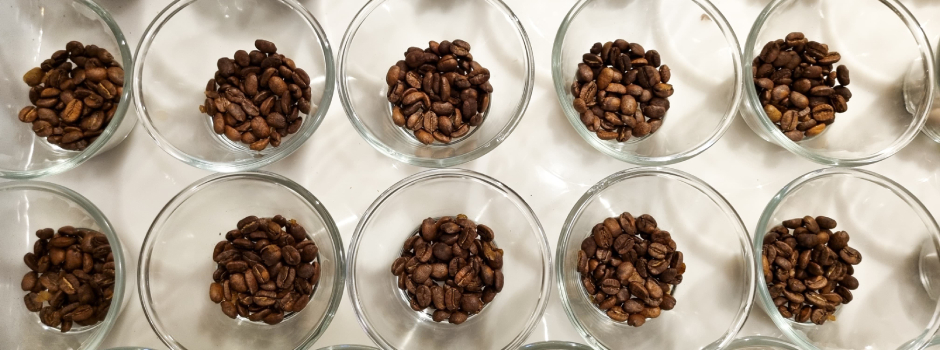 Amostras_café_33 Amostras_café_33