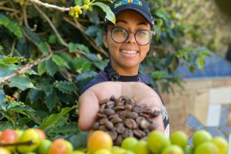 Mineira produz café de R$ 34 mil a saca Mineira produz café de R$ 34 mil a saca