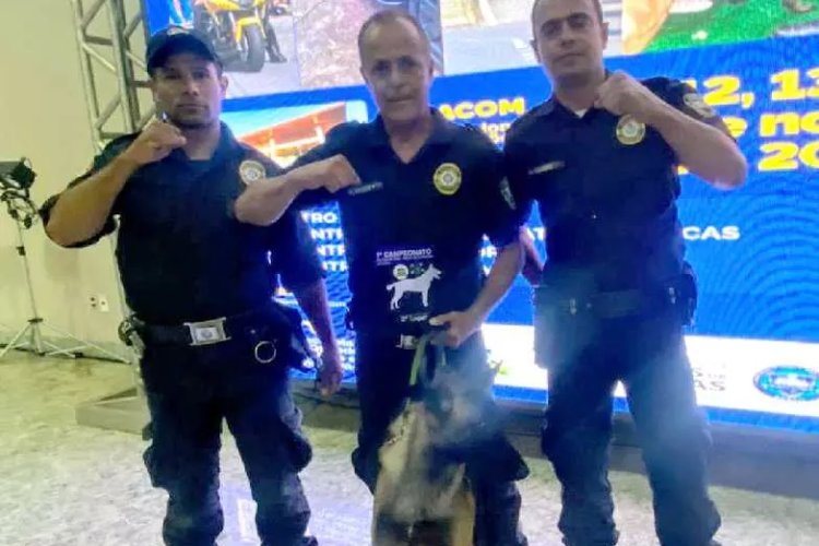 Cão da Guarda se destaca em Campeonato Cão da Guarda se destaca em Campeonato
