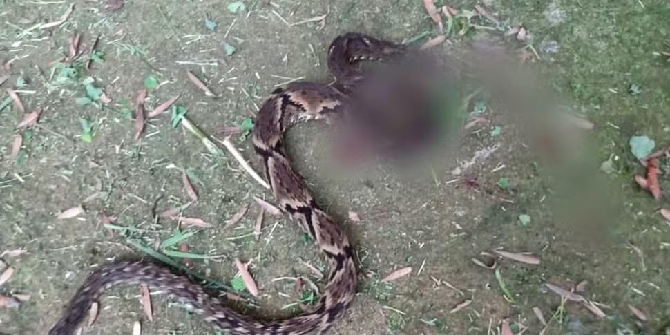 34571092574562344157092