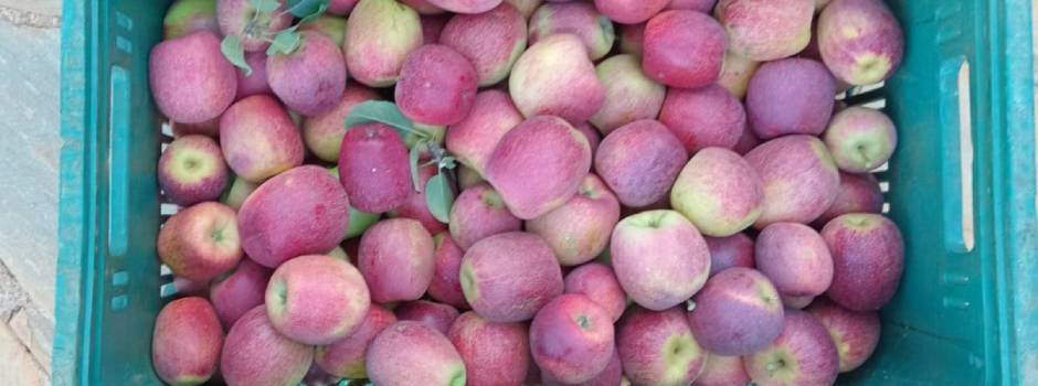 349887219345734 349887219345734