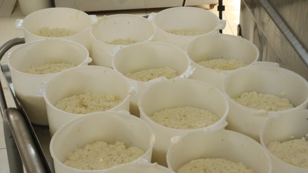 15235179648197451235417925612313561203