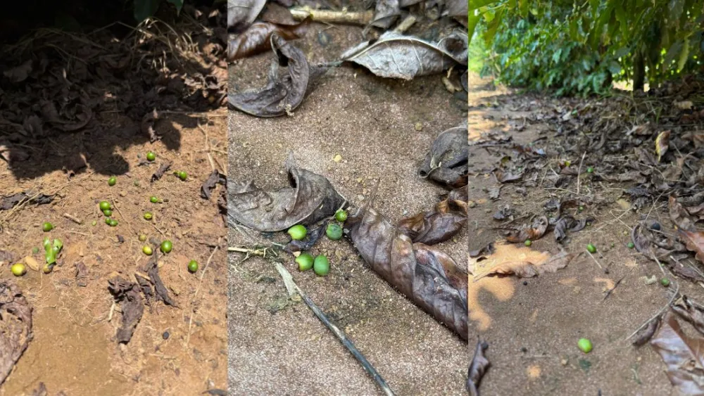 34587234951952345932497129572