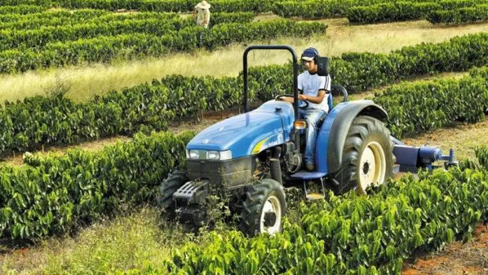 agro-agricultura-235