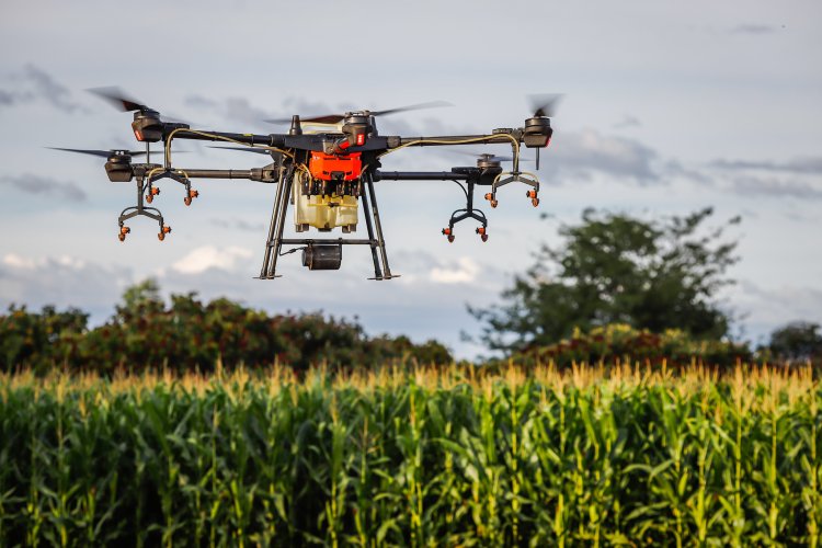 Senar Play abre matrículas para mais de 200 cursos e impulsiona capacitação no campo Senar Play abre matrículas para mais de 200 cursos e impulsiona capacitação no campo