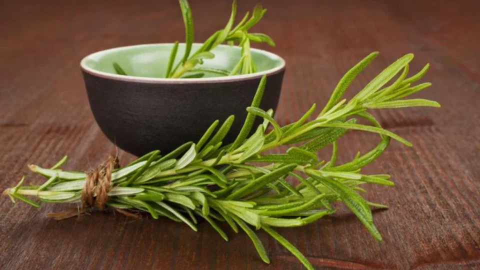 8-Variedades-alecrim-960x540