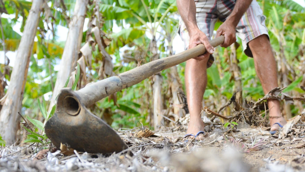 agro-agricultura-produtor-rural-43