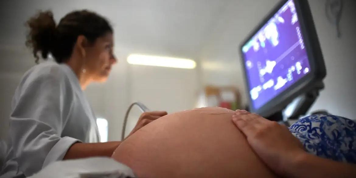 gravida-12858 gravida-12858