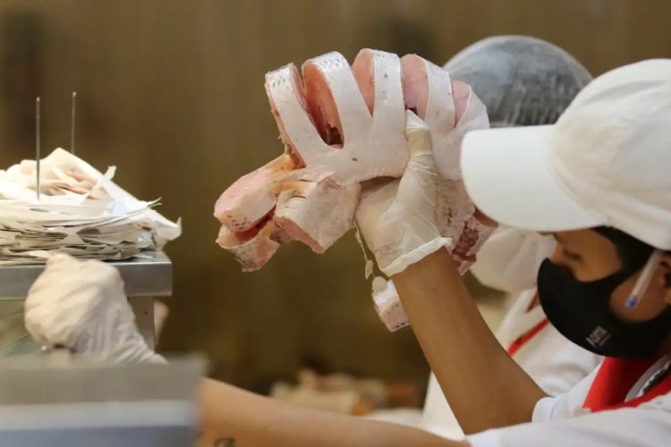 Pescado aumenta de preço em Uberlândia Pescado aumenta de preço em Uberlândia