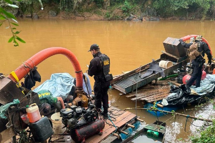 Operação combate extração de ouro