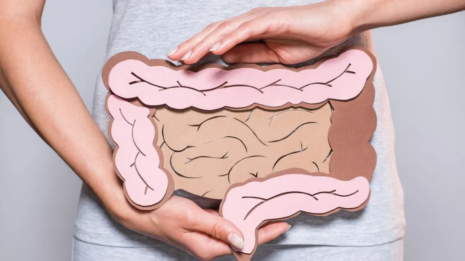 intestino_1219160038_Easy-Resize.com_-960x540