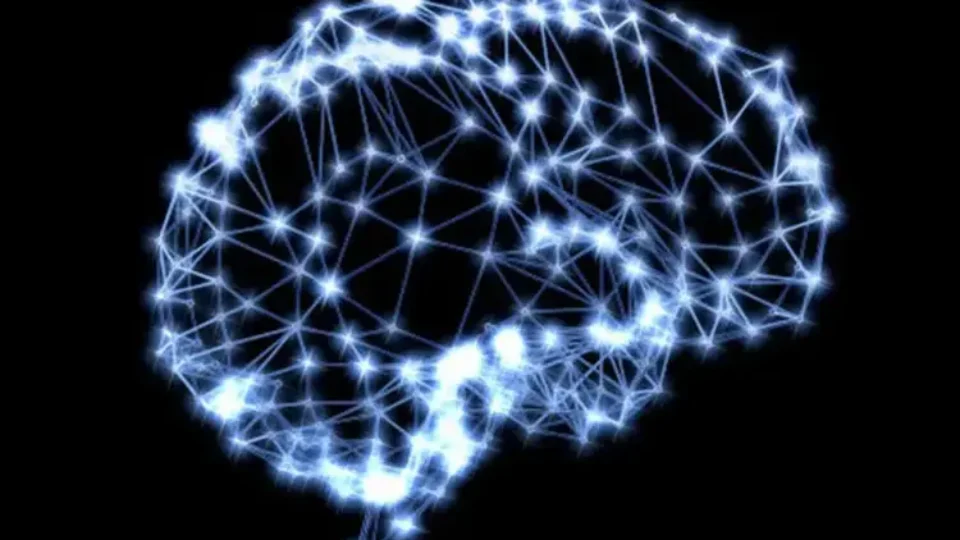 size_960_16_9_cerebro31-960x540 size_960_16_9_cerebro31-960x540