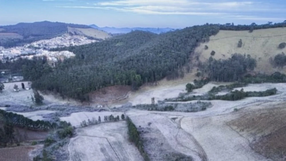 12350129399999322471175