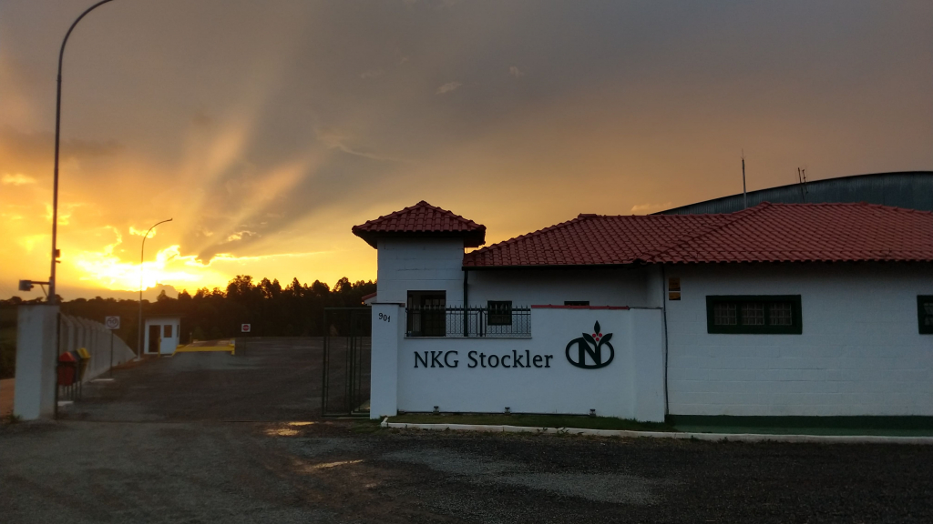 4.-stockler-Muzambinho-1024x576 4.-stockler-Muzambinho-1024x576