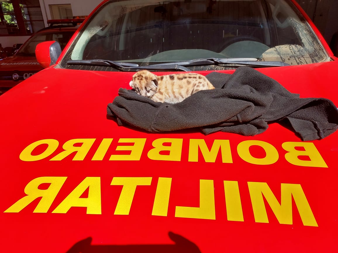 499861430_1036047838624564_4869357902486220168_n