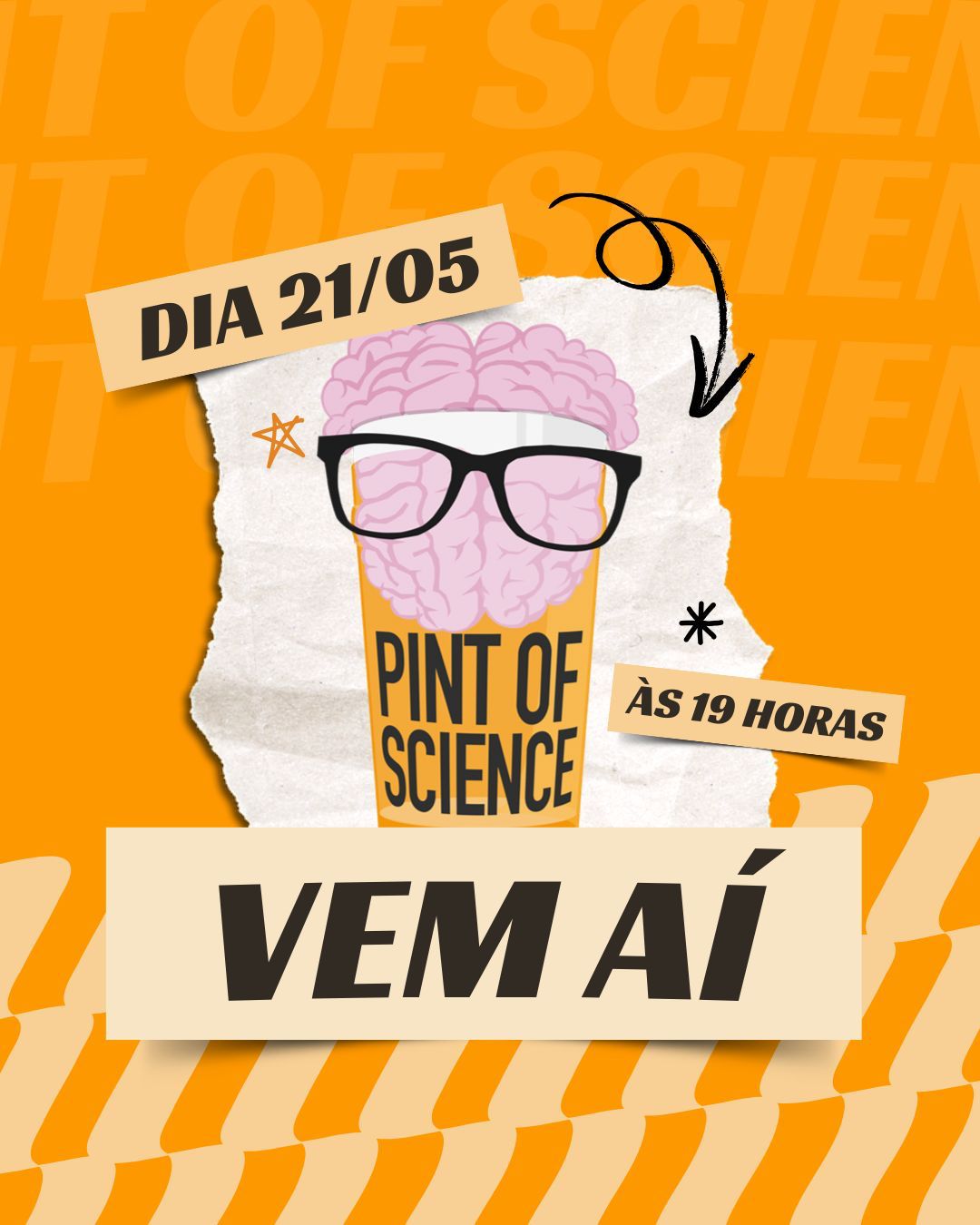 WhatsApp Image 2025-05-16 at 09.36.04 WhatsApp Image 2025-05-16 at 09.36.04