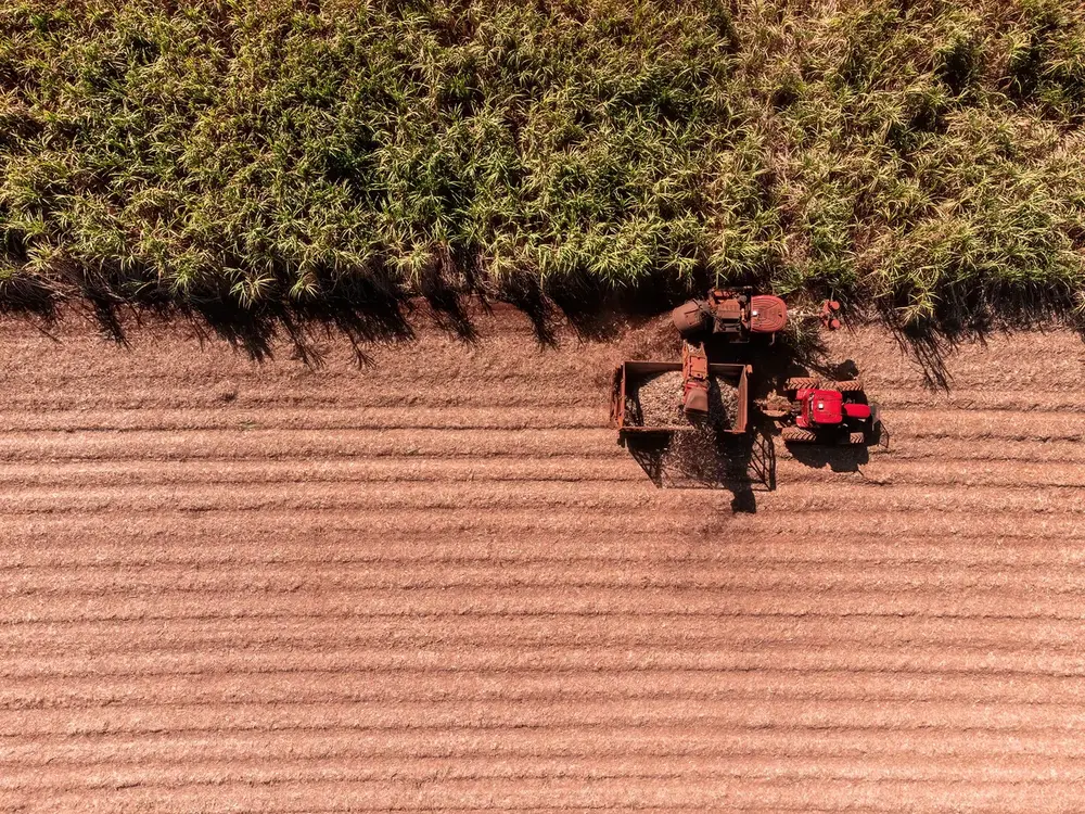 agro-cana-7eabfe4ad1b5a4