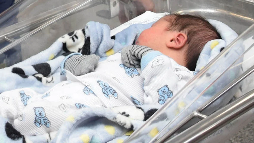 bebe-32523 bebe-32523