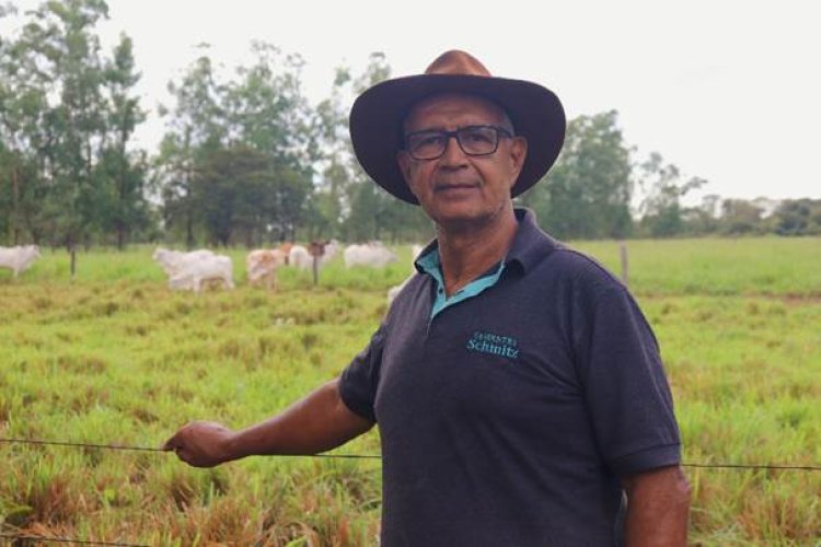 Pecuaristas do Norte de Minas investem em leilões Pecuaristas do Norte de Minas investem em leilões