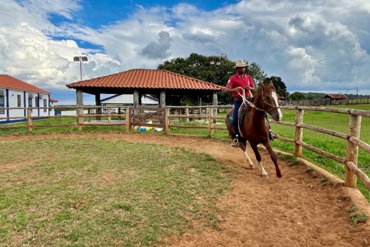 Programa do Senar, em parceria com o SPR Sete Lagoas e a ABCCMM, transforma a vida de tratador de cavalos Programa do Senar, em parceria com o SPR Sete Lagoas e a ABCCMM, transforma a vida de tratador de cavalos