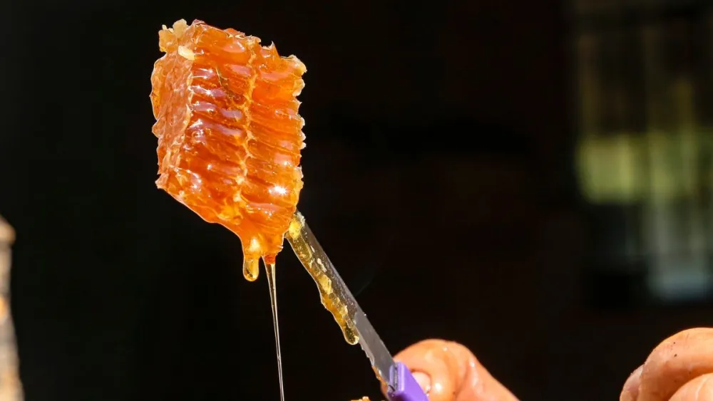 mel-5238357 mel-5238357