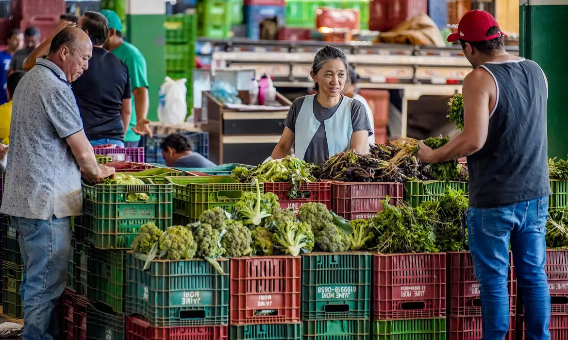 verduras_comida_feira_alimento_32523852 verduras_comida_feira_alimento_32523852