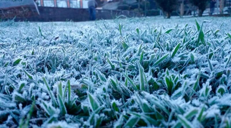 873f4f97-frio-geada-800x445 873f4f97-frio-geada-800x445