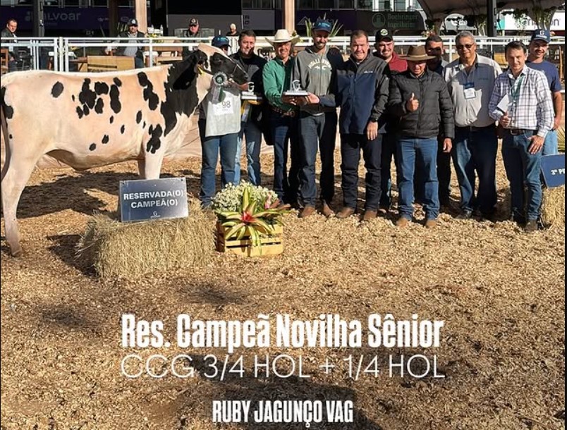 Captura de tela 2025-06-13 153003