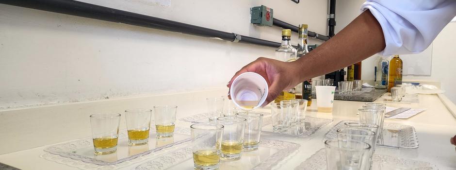 Treinamento_jurados_cachaça_(1)