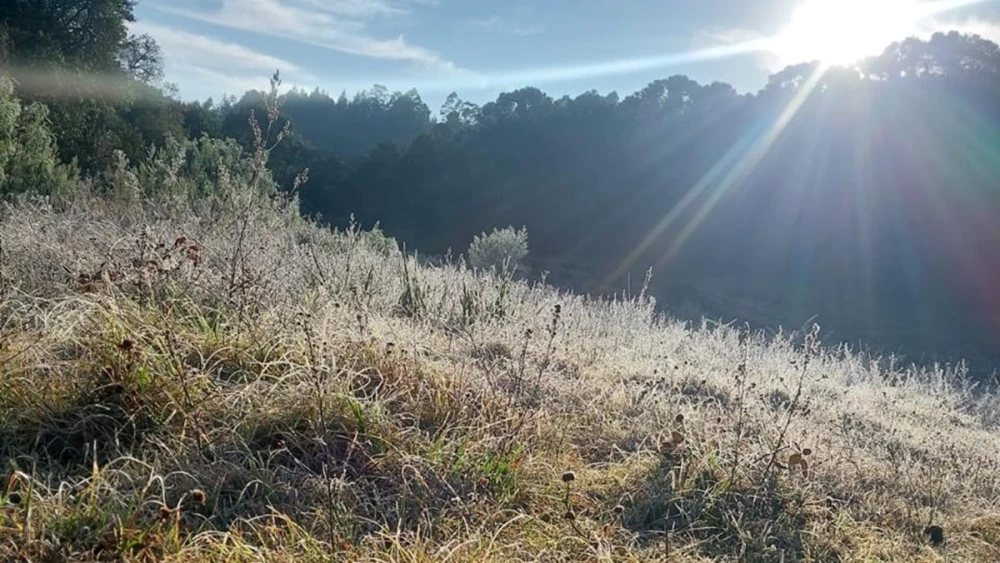 frio-6348364 frio-6348364