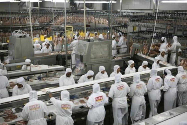 Investimentos em granjas na Zona da Mata Investimentos em granjas na Zona da Mata