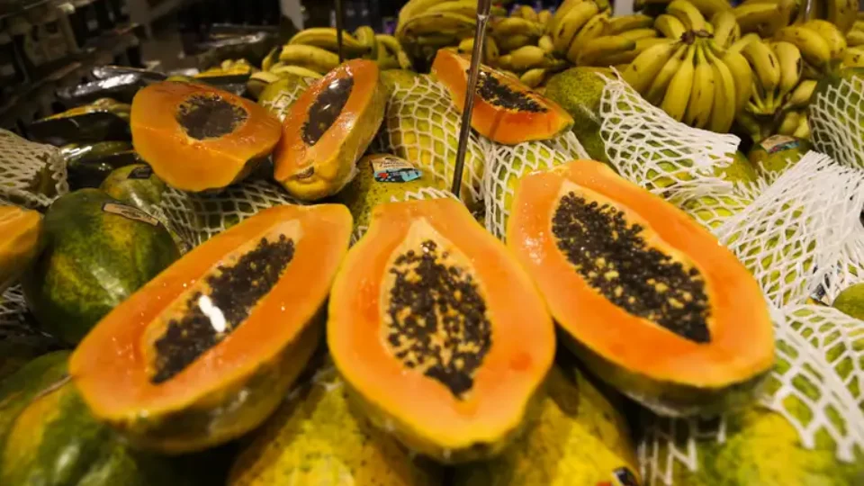 vac_abr_20220729_0906-960x540