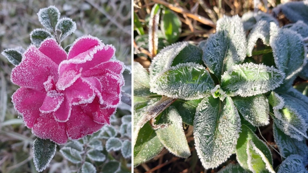 264938647062664 264938647062664