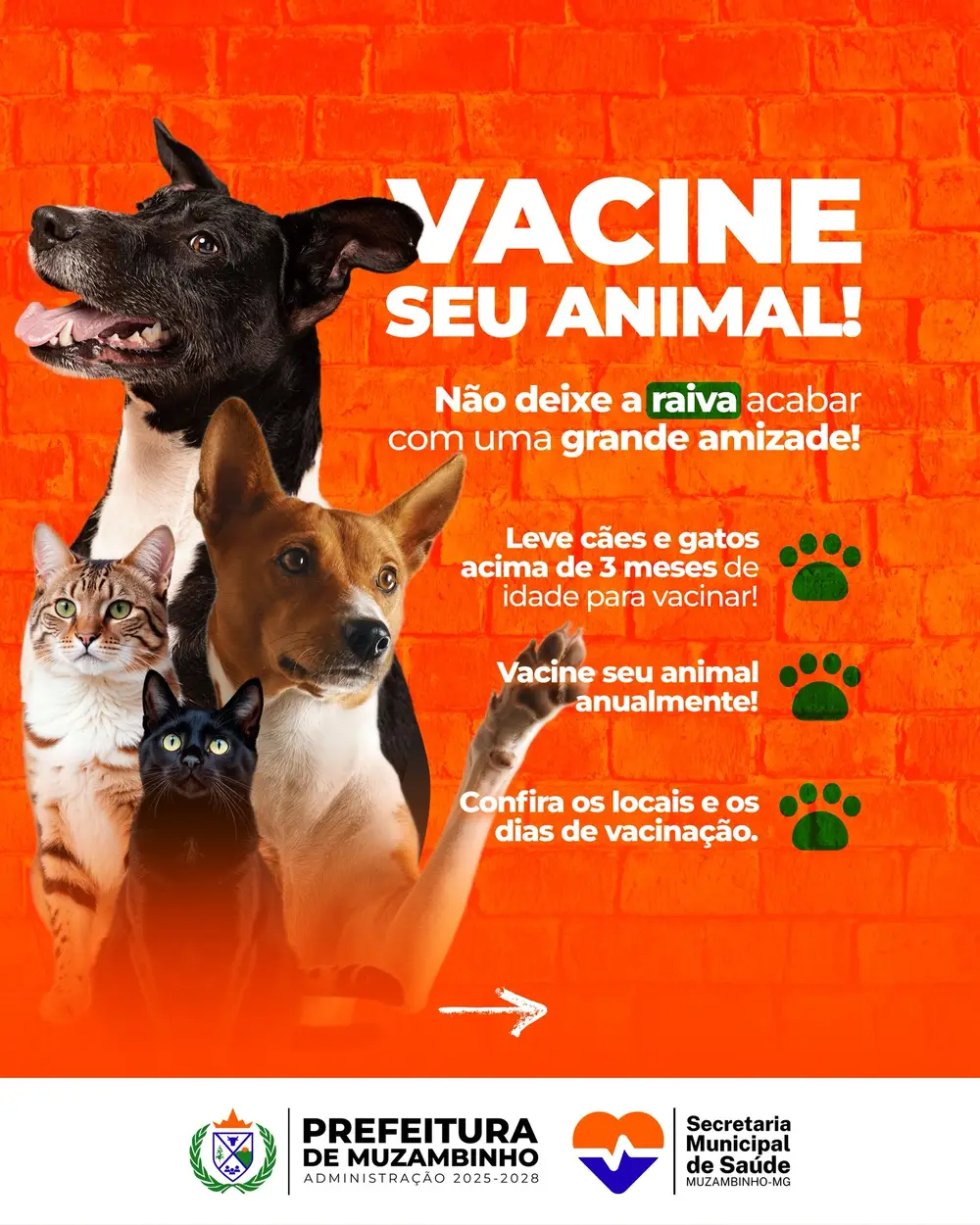 520273148_1064863315854109_6239507824131255649_n 520273148_1064863315854109_6239507824131255649_n