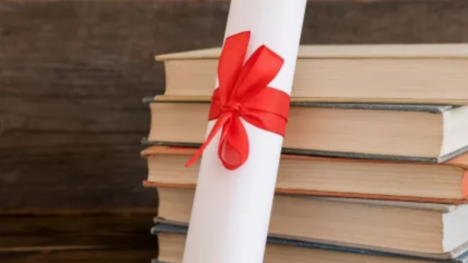 IMG_1565-960x540 IMG_1565-960x540