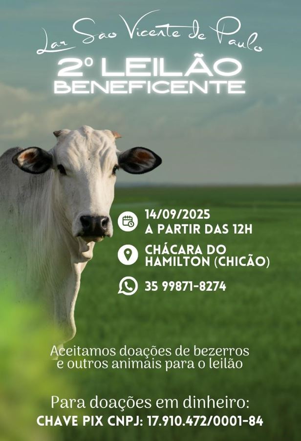 LeilaoAsiloset25 LeilaoAsiloset25