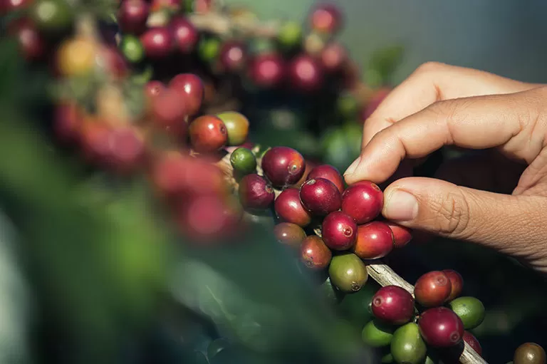 QUANTO-VAI-CUSTAR-BLOG