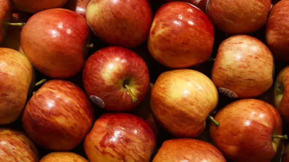 banco_de_imagens_vac_abr_2907221179-960x540 banco_de_imagens_vac_abr_2907221179-960x540