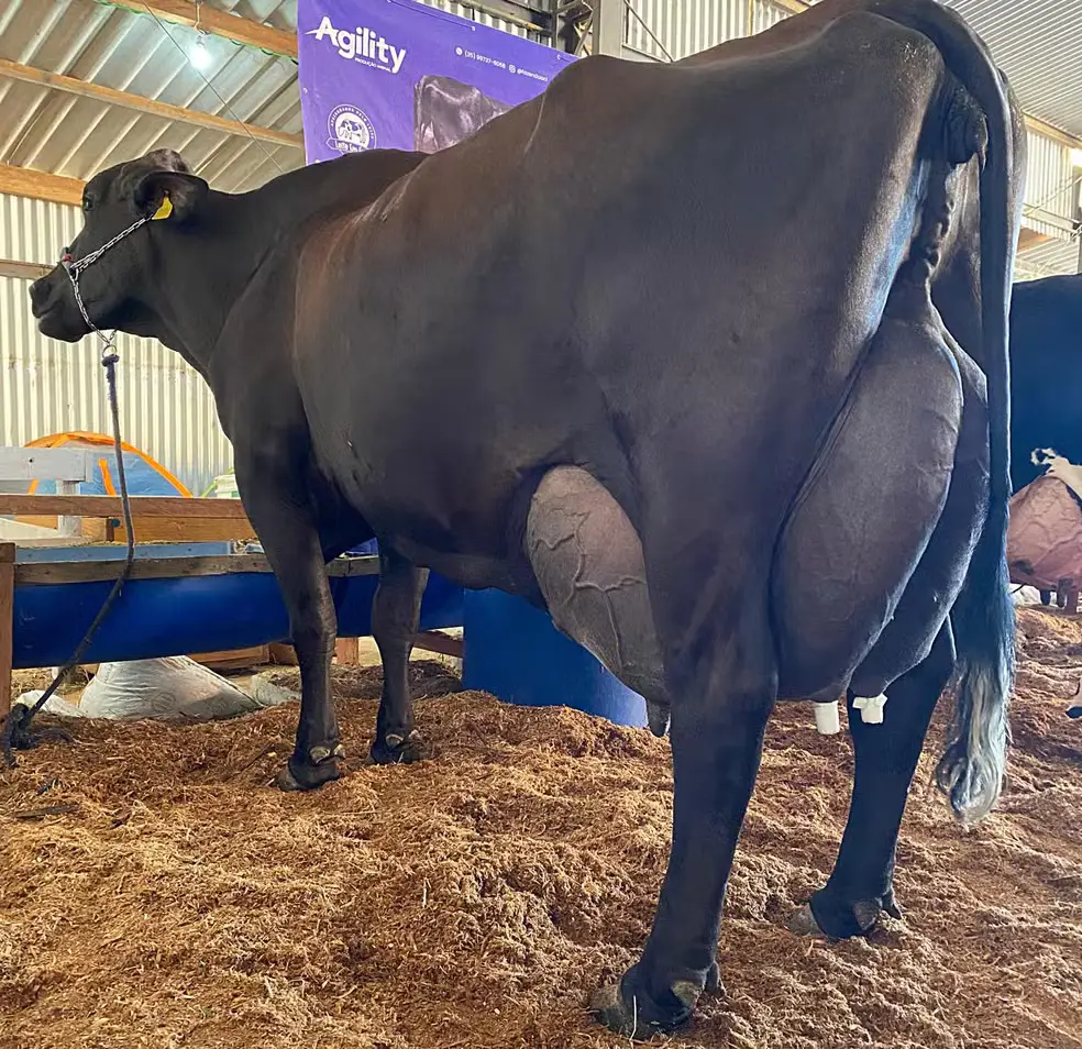 ezgif-6567d85e72c64e